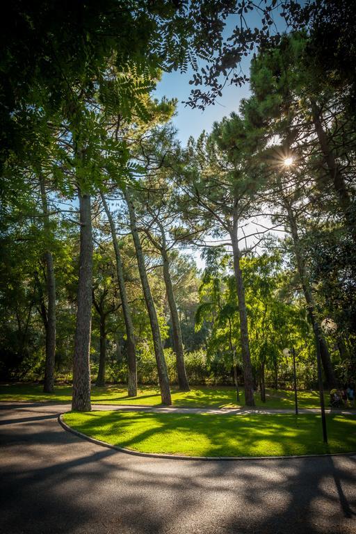Camping La Sousta**** Remoulins Luaran gambar