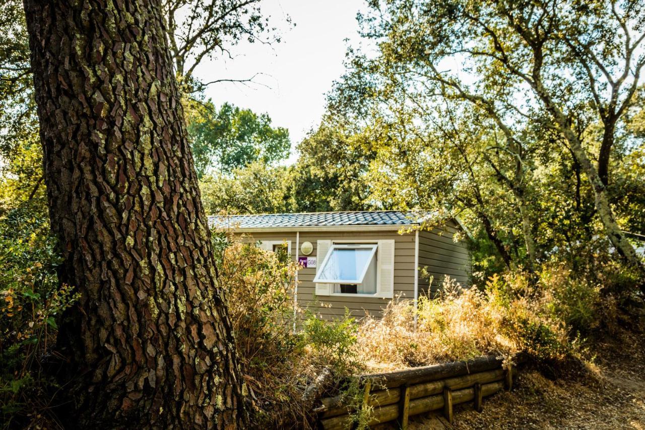 Camping La Sousta**** Remoulins Luaran gambar